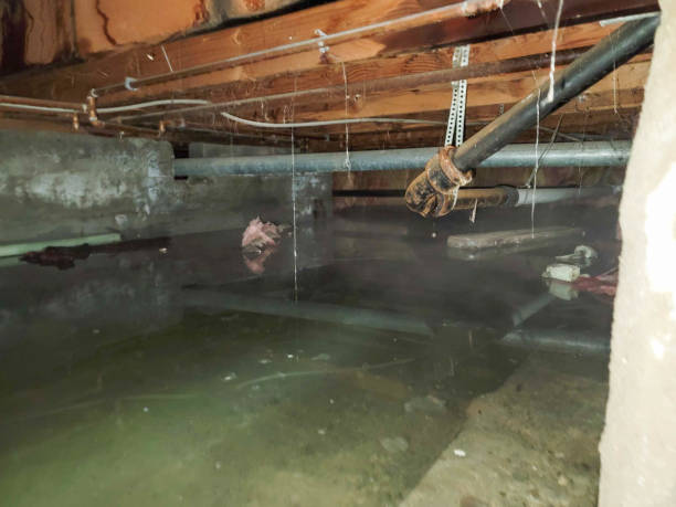 Best Residential water damage restoration  in Destin, FL