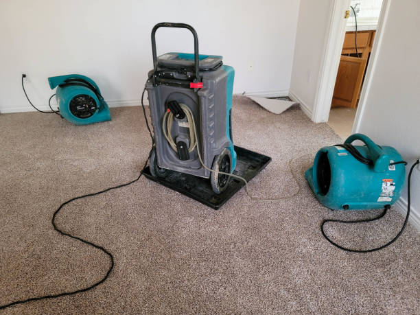 Best Fire Damage Restoration  in Destin, FL